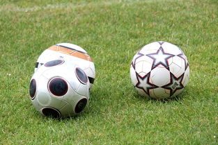 九游网页版入口-基层足球俱乐部资金短缺，基层足球俱乐部资金短缺的原因